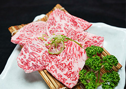 NO.5／こだわりロース